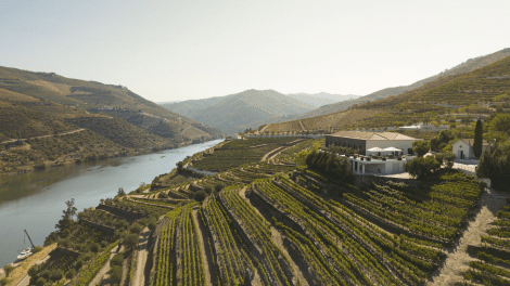 Quinta de São Luiz