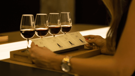 CAVES SANDEMAN VISITA GUIADA PROVA DE VINHOS