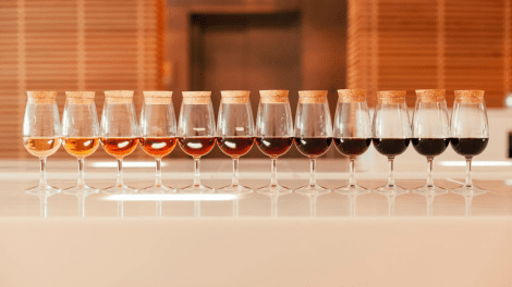 ESPAÇO PORTO CRUZ VISITA GUIADA PROVA DE VINHOS