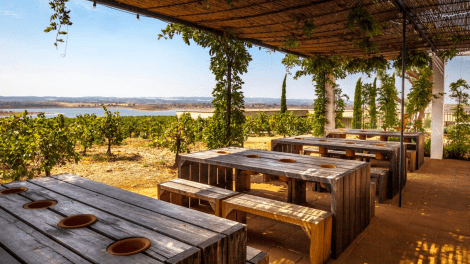 HERDADE DO ESPORÃO VISITA GUIADA E PROVA DE VINHOS