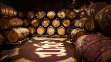 JOSÉ MARIA DA FONSECA VINHOS