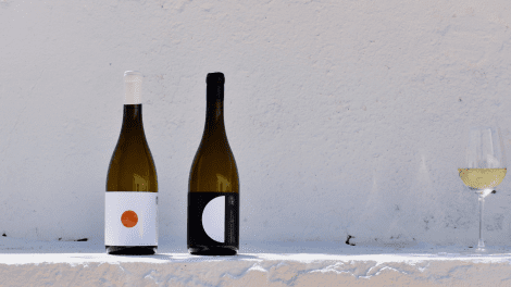 Morgado do Quintão | Algarve Vineyard & Wine Tasting | Wine tasting Morgado Quintão