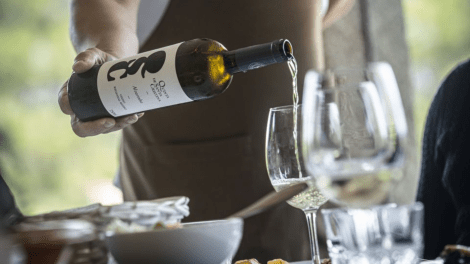 QUINTA DE SANTA CRISTINA-VISITA À ADEGA + PROVA DE VINHOS