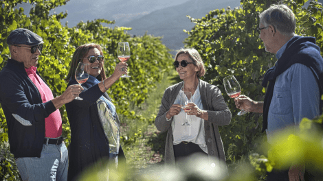 QUINTA DE SANTA CRISTINA