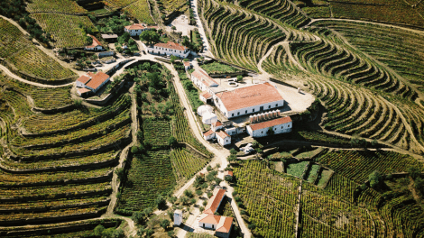 QUINTA DE VENTOZELO