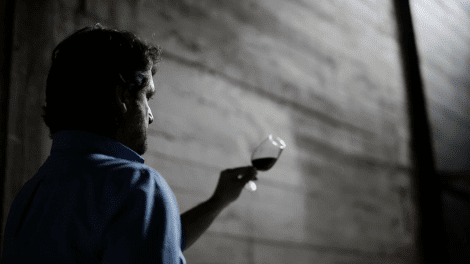 QUINTA DO GRADIL VISITA GUIADA E PROVA DE VINHOS