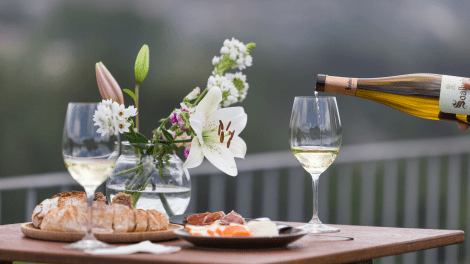 QUINTA DO SOALHEIRO | MELHOR VISITA GUIADA NA REGIÃO DOS VINHOS VERDES