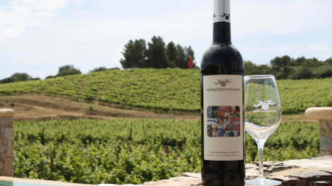 QUINTA DOS VALES WINE ESTATE VISITA GUIADA E PROVA DE VINHOS