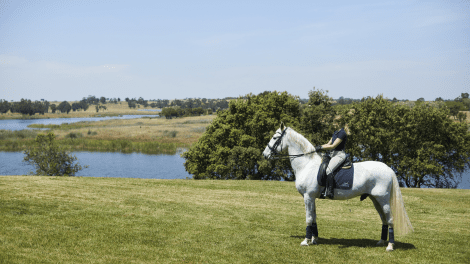 HERDADE DOS GROUS - AVENTURA E DESPORTO