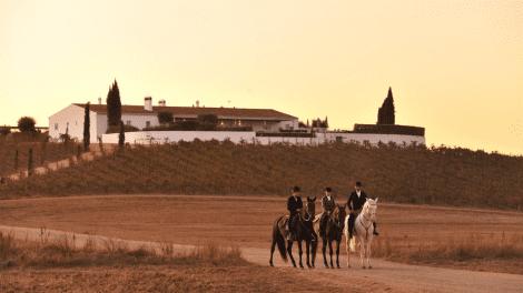 HERDADE DA MALHADINHA NOVA-AVENTURA E DESPORTO