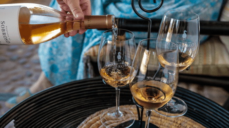 HERDADE DO SOBROSO VISITA GUIADA E PROVA DE VINHOS