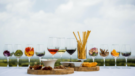 Adega Mayor Wine Courses