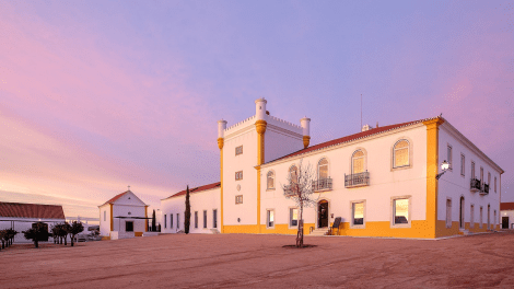 TORRE DE PALMA WINE HOTEL