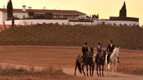 HERDADE DA MALHADINHA NOVA, COUNTRY HOUSE & SPA