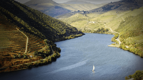 Douro à Vela 