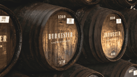 Tour de Um dia no Porto: Vinho e Gastronomia 