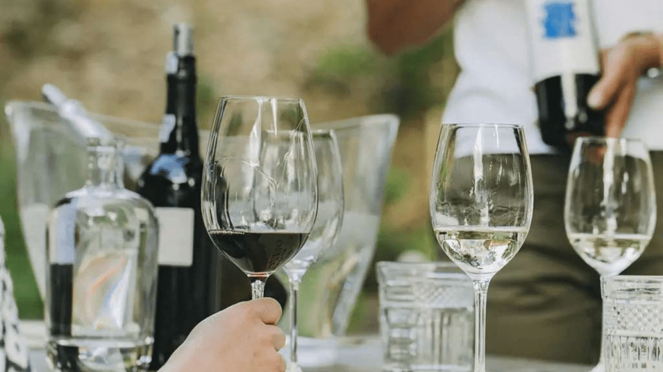 Quinta de Ventozelo Provas Privadas de Vinhos Online | Experimente os Melhores Vinhos