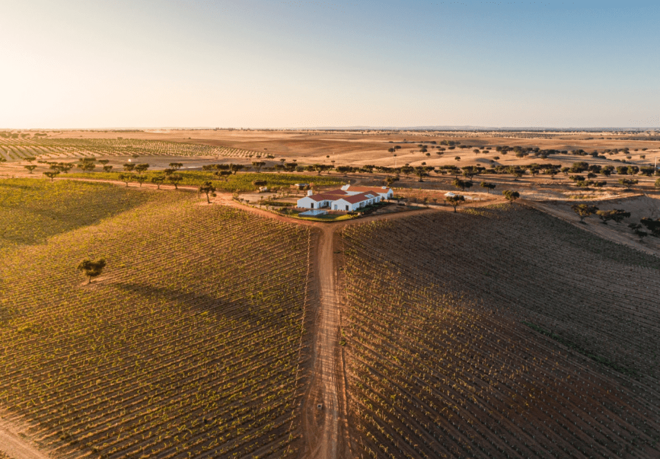 HERDADE DA MALHADINHA NOVA