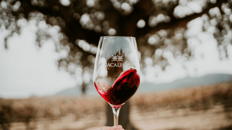 Bacalhoa Wine Tasting 