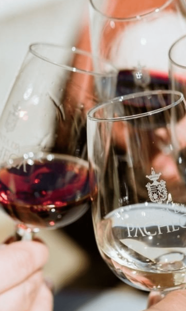 QUINTA DA PACHECA - GUIDED TOURS + WINE TASTING