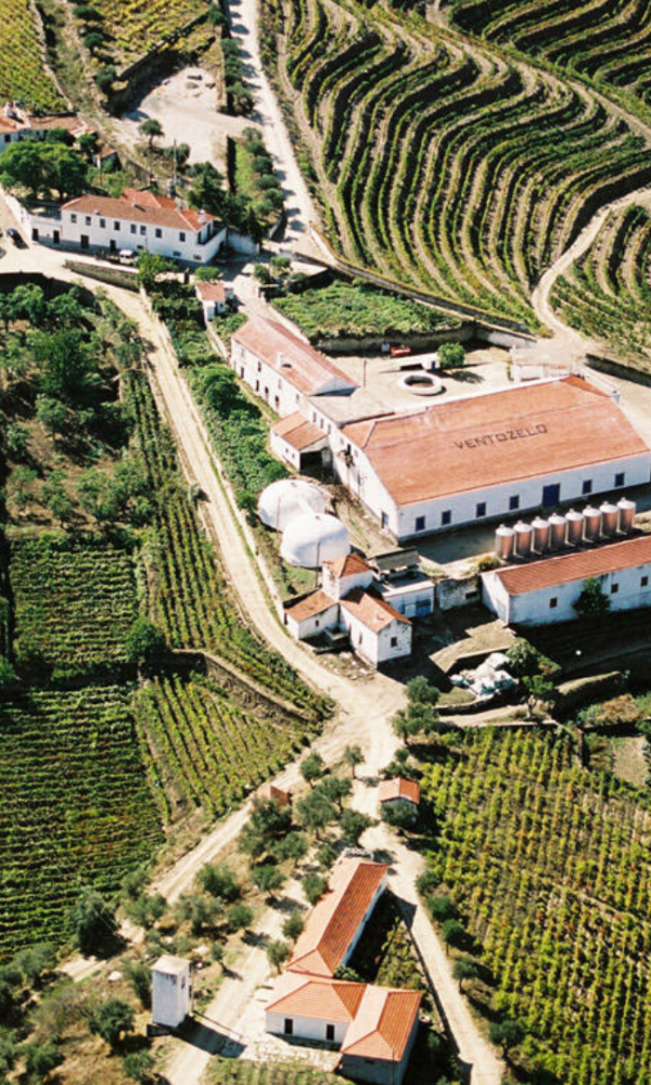 QUINTA DE VENTOZELO