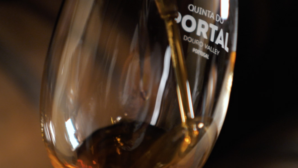 QUINTA DO PORTAL - GUIDED TOURS + WINE TASTING