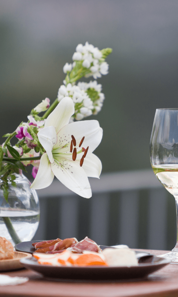 QUINTA DO SOALHEIRO — VISITA À ADEGA E PROVA DE VINHOS