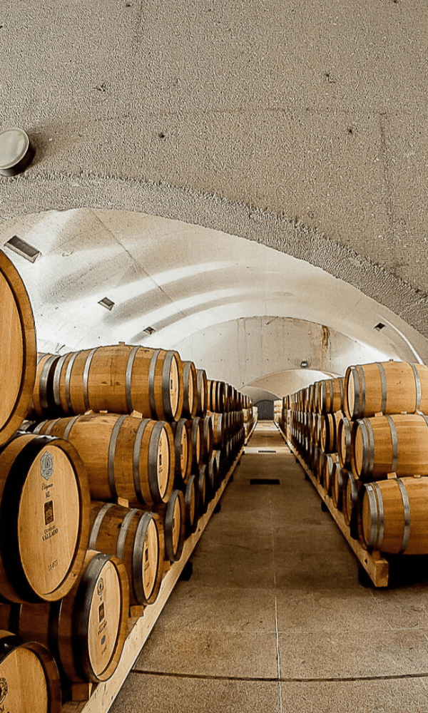 QUINTA DO VALLADO - GUIDED TOUR + WINE TASTING