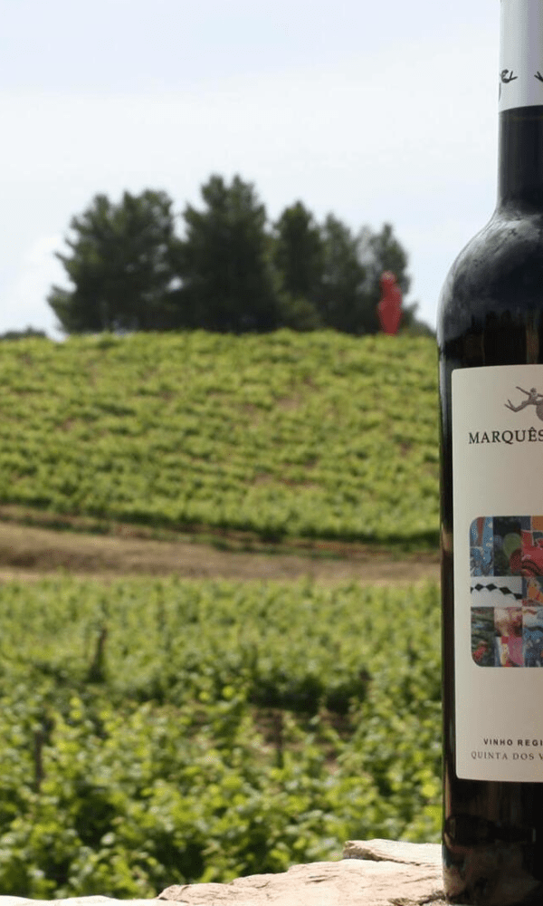 QUINTA DOS VALES WINE ESTATE — VISITA GUIADA E PROVA DE VINHOS