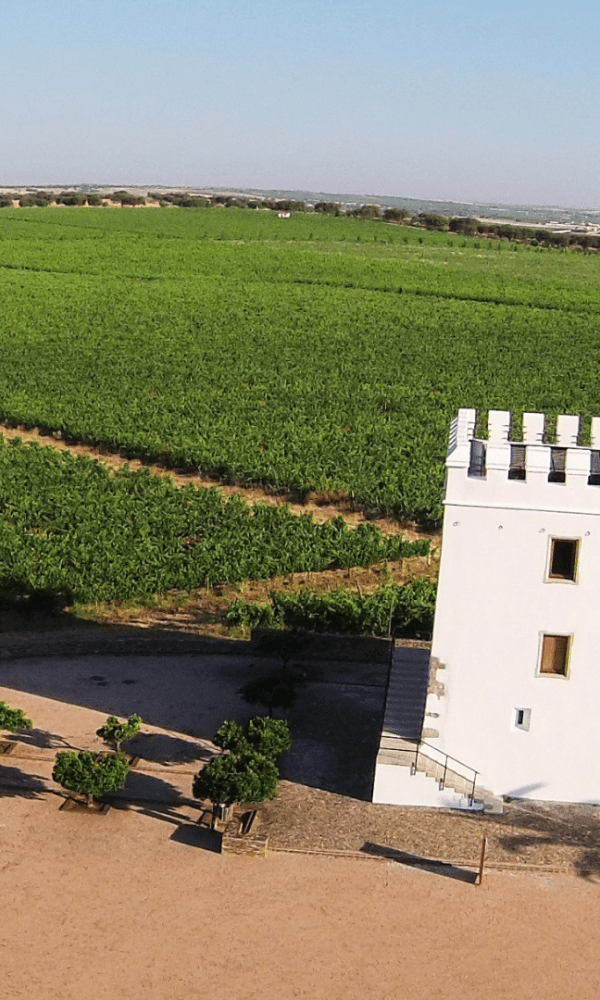 HERDADE DO ESPORÃO - ADVENTURE AND SPORT