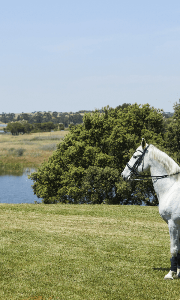 HERDADE DOS GROUS - AVENTURA E DESPORTO