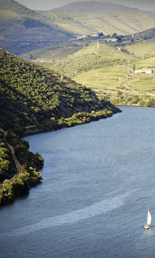 DOURO À VELA