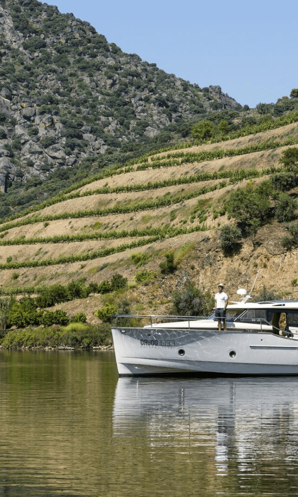 ruzeiros inesquecíveis pelo rio Douro com a FeelDouro