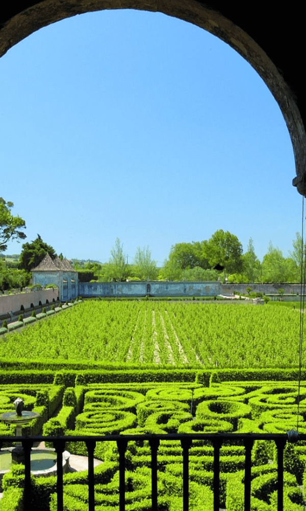 Palácio, Museu e Quinta da Bacalhôa - Experimente a autenticidade dos sabores de Setúbal