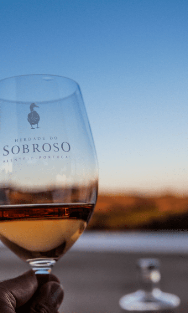 HERDADE DO SOBROSO COUNTRY HOUSE - CURSO DE VINHOS