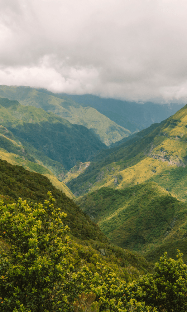 Excursão de 5 dias na Ilha da Madeira: Uma Fuga à Natureza e à Cultura