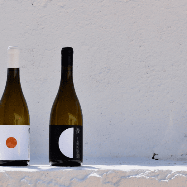 Morgado do Quintão | Algarve Vineyard & Wine Tasting | Prova de vinhos Morgado Quintão