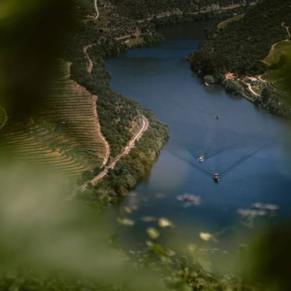 Douro Valley
