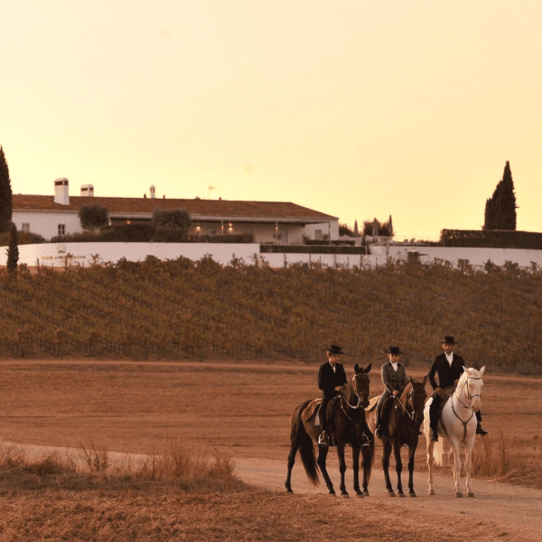 Herdade da Malhadinha Nova Equitação