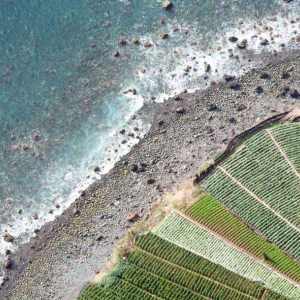 MADEIRA