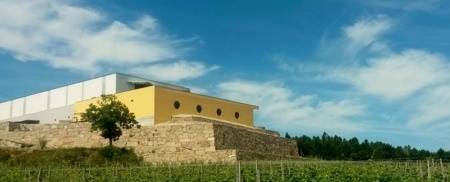 Quinta de Santa Cristina - Passeio vinícola 4X4 - De 4 a 16 pessoas