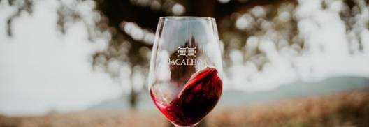 Tour de vinho de um dia na Península de Setúbal a partir de Lisboa