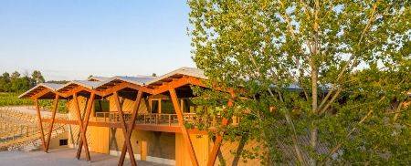 Quinta da Taboadella - Lunch at the Taboadella Harvest