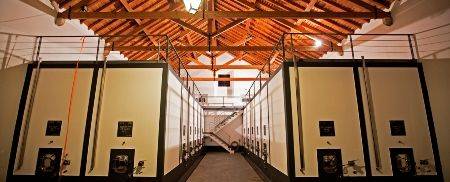 Quinta do Carmo Dona Maria - Guided Tour & Wine Tasting - Gama Dona Maria B