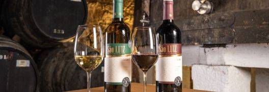 Quinta de São Luiz - Visita Guiada e Prova de Vinhos - São Luiz Premium