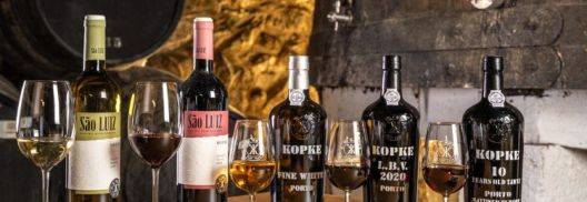 Quinta de São Luiz - Visita Guiada e Prova de Vinhos - Vineyards Tour