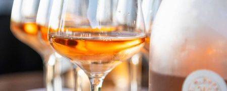 Quinta de São Luiz - Visita Guiada e Prova de Vinhos - São Luiz Exclusivo